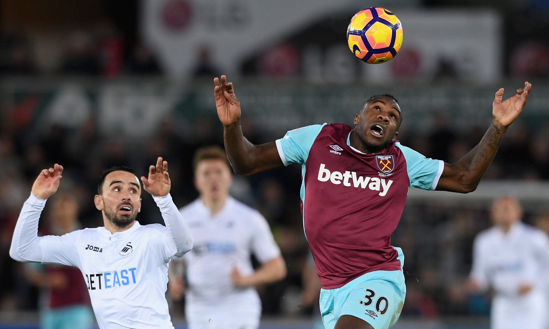 及每一位忠 及每一位忠